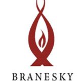 Sponsor Image for Branesky Heating & Sheet Metal 