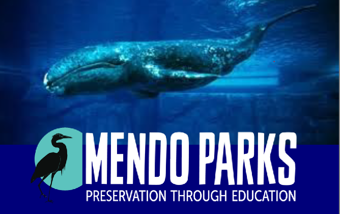 Mendo Parks Whale Events for March
