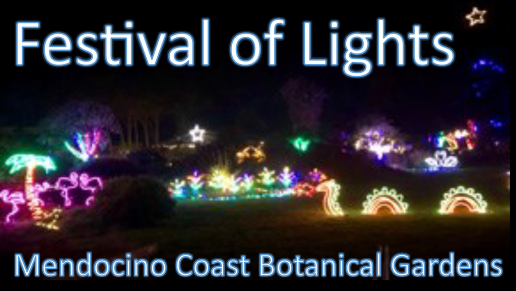 Festival of Lights Mendocino Coast Botanical Gardens