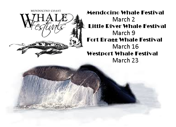Mendocino Coast Whale Festivals