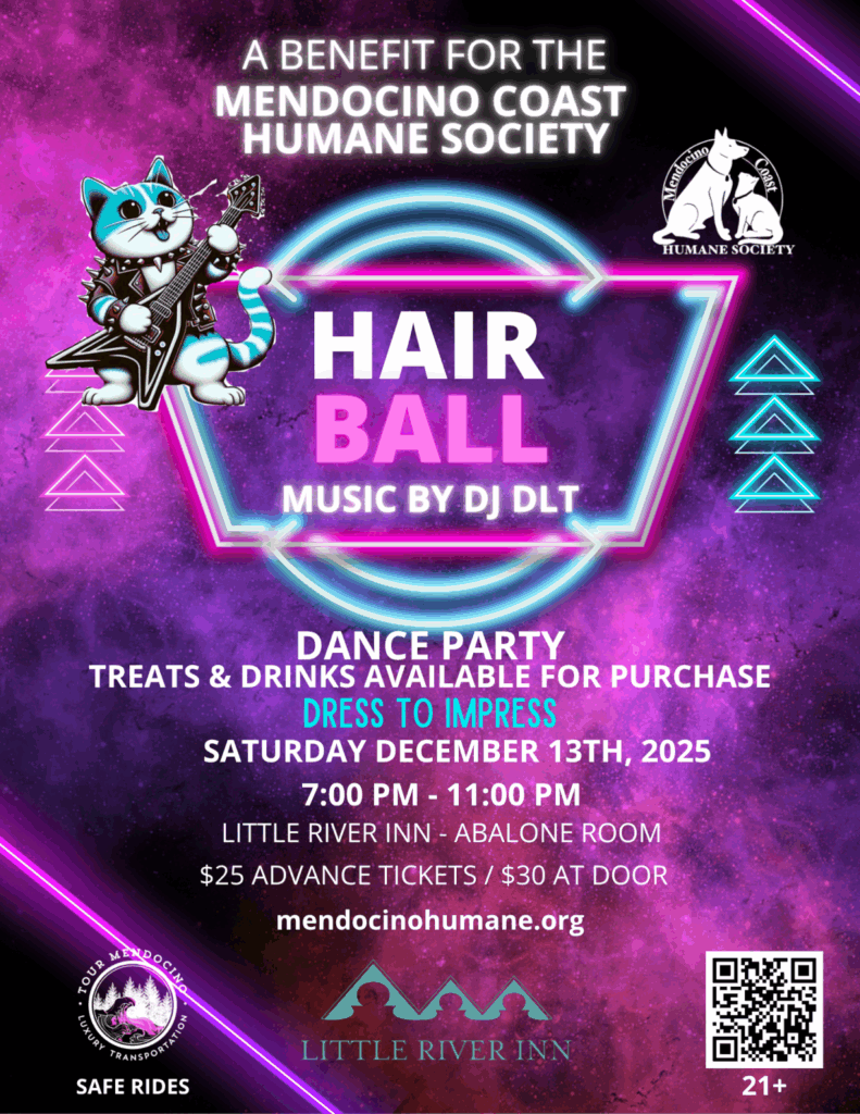 Dance like it's the 1980's and raise money for the Cats and Dogs